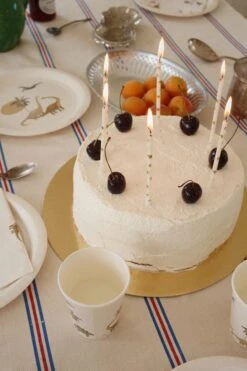 Bougies D'anniversaire - Lemon -Konges Sløjd®. Soldes Boutique MOOD KS100778 P00038 KS100835 P10021 6 240326085623 6068288f 991e 408f 8874 34cf9a541b6b