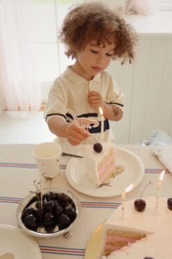 Kit Anniversaire - Dino -Konges Sløjd®. Soldes Boutique MOOD KS100778 P00038 KS100835 P10021 KS100902 P25004 3 240326085624