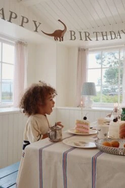 Kit Anniversaire - Dino -Konges Sløjd®. Soldes Boutique MOOD KS100778 P00038 KS100835 P10021 KS100902 P25004 7 240326085625