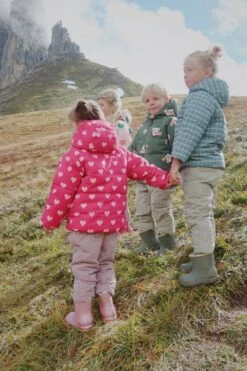 Blouson Nuka - Amour Jazzy 16 Blouson Nuka - Amour Jazzy -Konges Sløjd®. Soldes Boutique MOOD KS103522 P15064 KS103523 P40016 1 241020033409